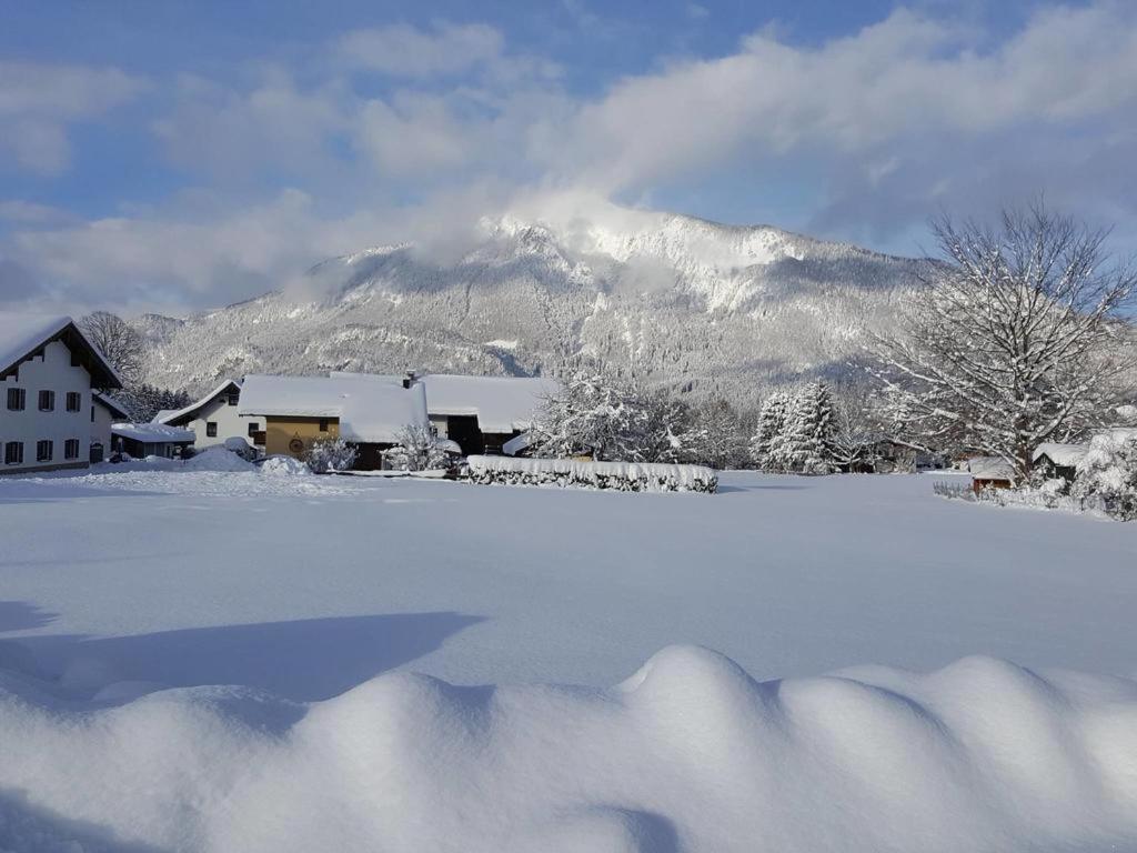 Chiemgauferienwohnungen - Wanderlust Und Alpenrose Unterwössen Exterior foto